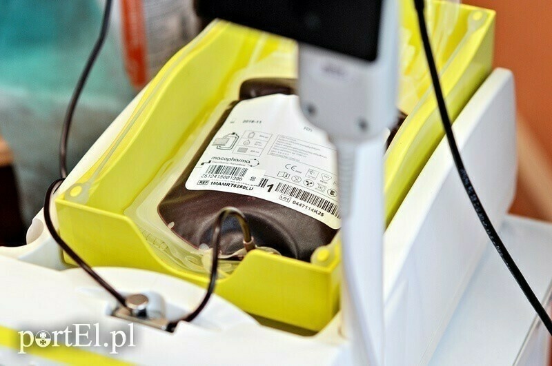 Elbląg, Tej grupy krwi brakuje Elbląg, Tej grupy krwi brakuje