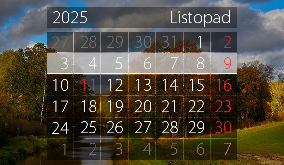 Elbląg, W tym tygodniu portEl poleca: spotkania, spacer i koncert Elbląg, W tym tygodniu portEl poleca: spotkania, spacer i koncert