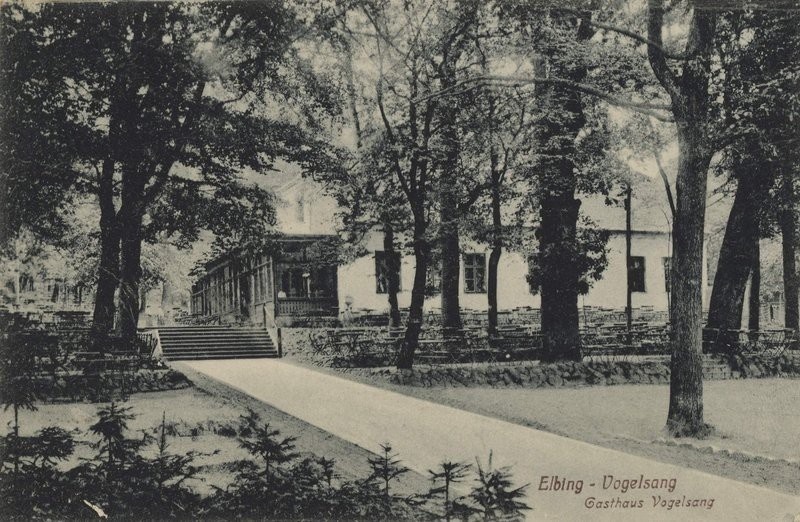 Elbląg, Bażantarnia przed wojną Elbląg, Bażantarnia przed wojną