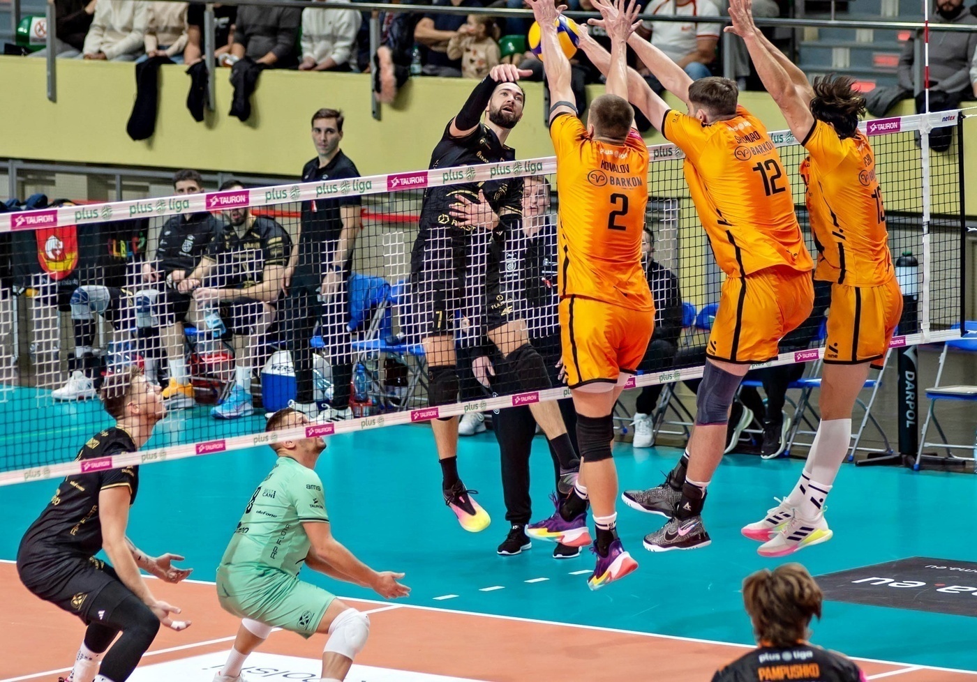 Elbląg, Sensacja pod siatką