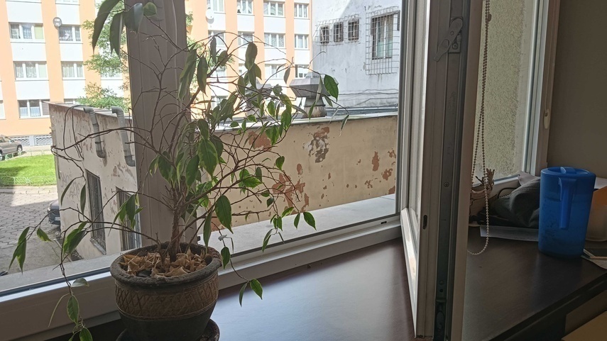 Elbląg, Uszczelkowy i natarczywy "biznes" Elbląg, Uszczelkowy i natarczywy "biznes"