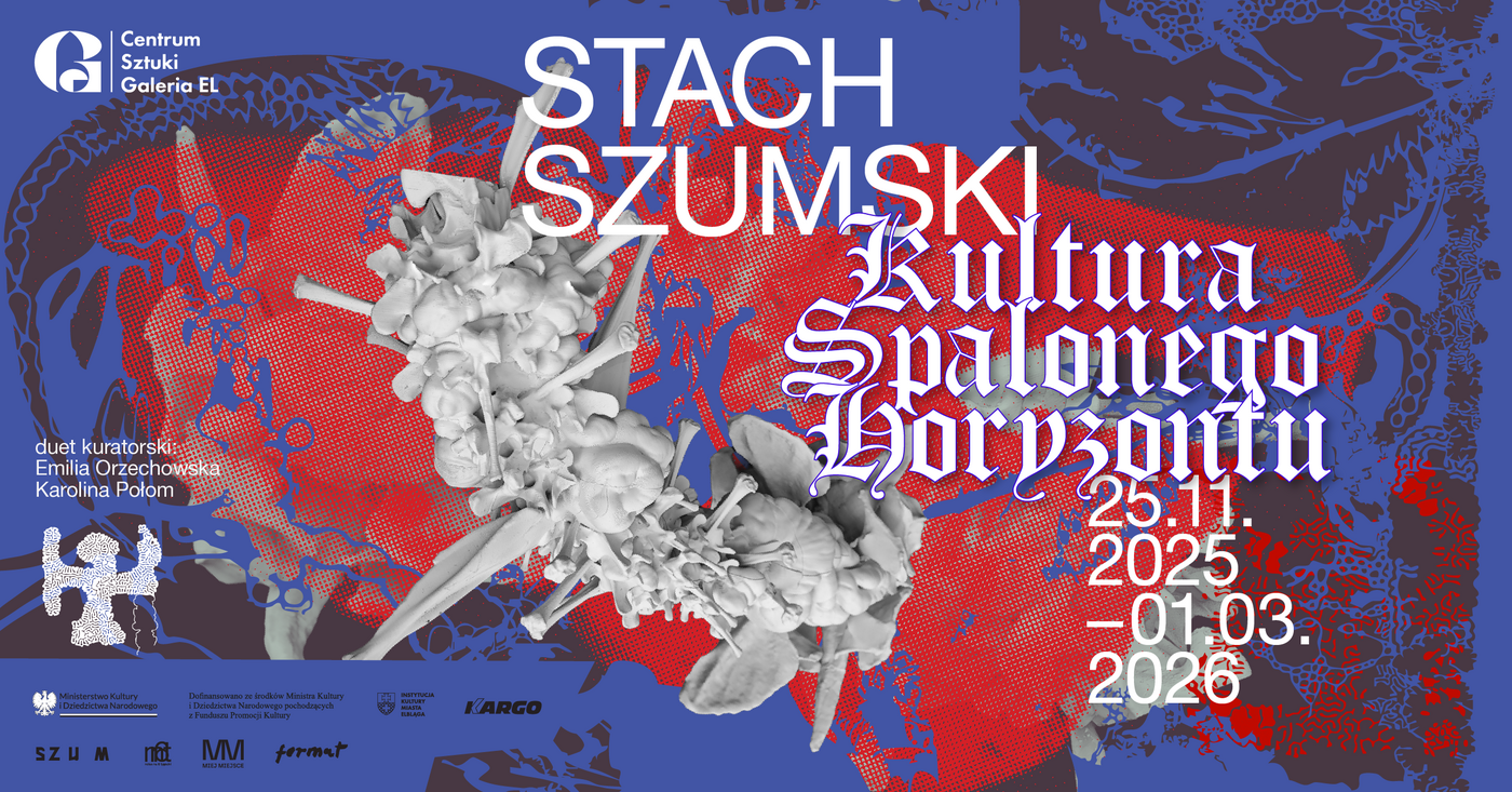 Elbląg, arch. Galerii EL