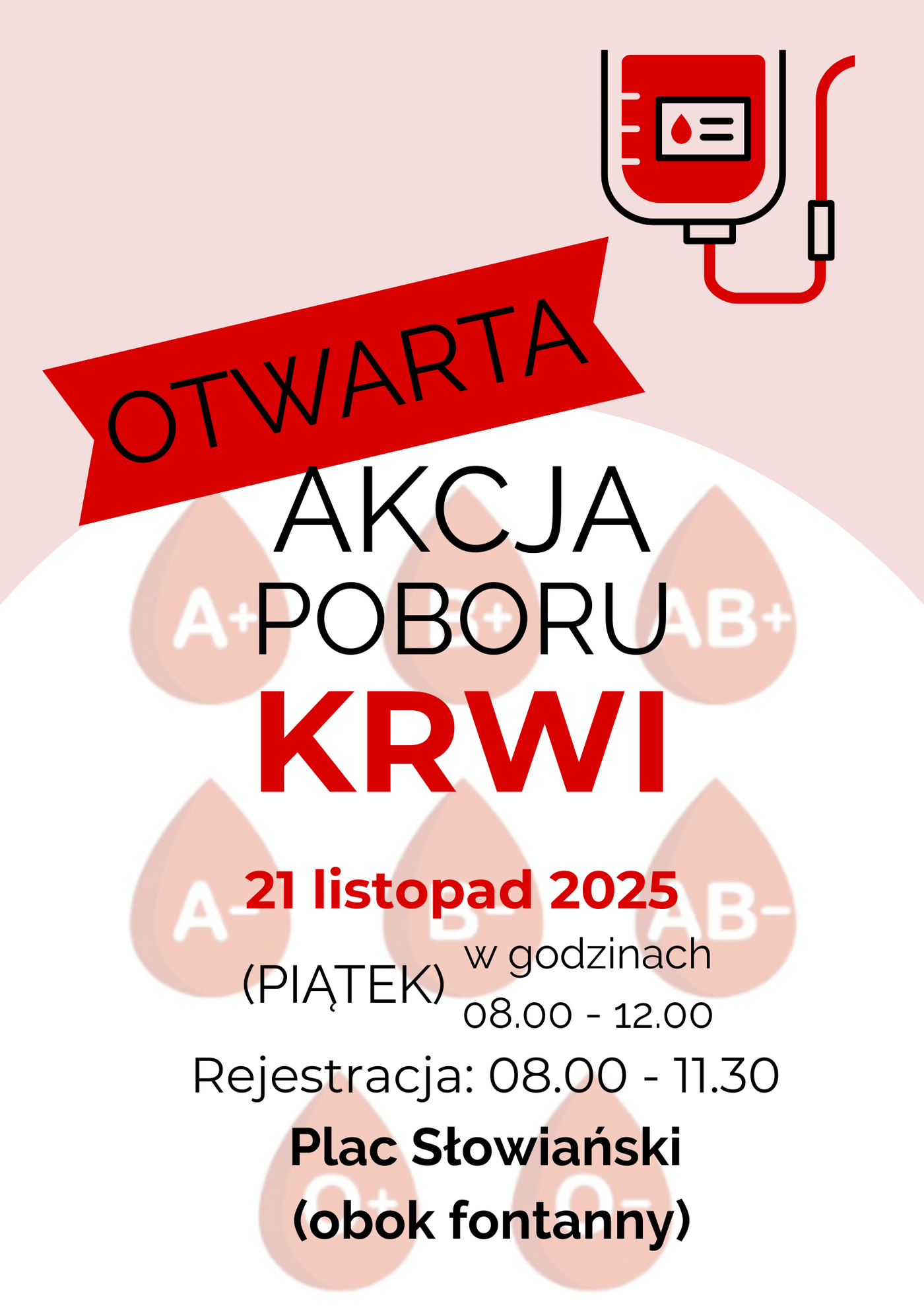 Elbląg, arch. organizatora