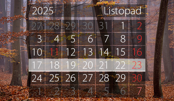 Elbląg, arch. portel.pl Elbląg, arch. portel.pl