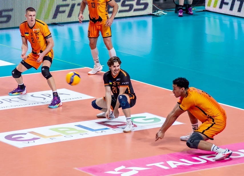 Elbląg, Jak Nietoperze promują Elbląg i powiat elbląski Elbląg, Jak Nietoperze promują Elbląg i powiat elbląski