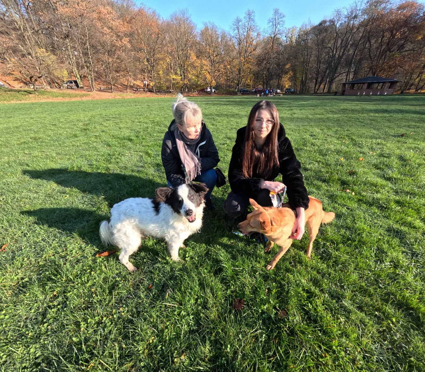 Elbląg, Mikołajkowy prezent dla schroniskowego psa Elbląg, Mikołajkowy prezent dla schroniskowego psa