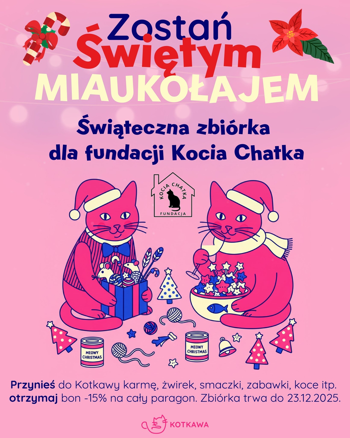 Elbląg, Zostań świętym Miaukołajem!