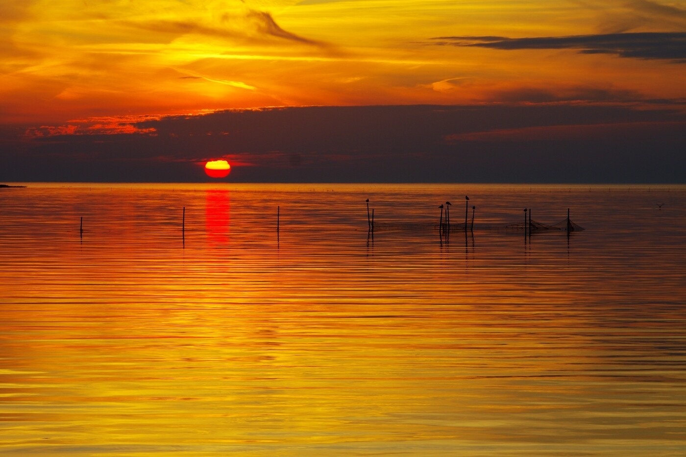 Elbląg, Związek nad Zalewem Elbląg, Związek nad Zalewem