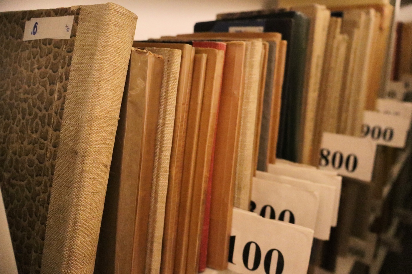 Elbląg, Oni wygrali konkurs z biblioteką pedagogiczną Elbląg, Oni wygrali konkurs z biblioteką pedagogiczną