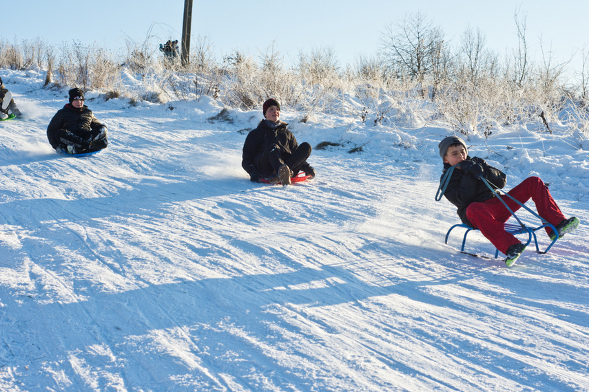 Sprawdź propozycje na ferie w Elblągu [ Wiadomości ]