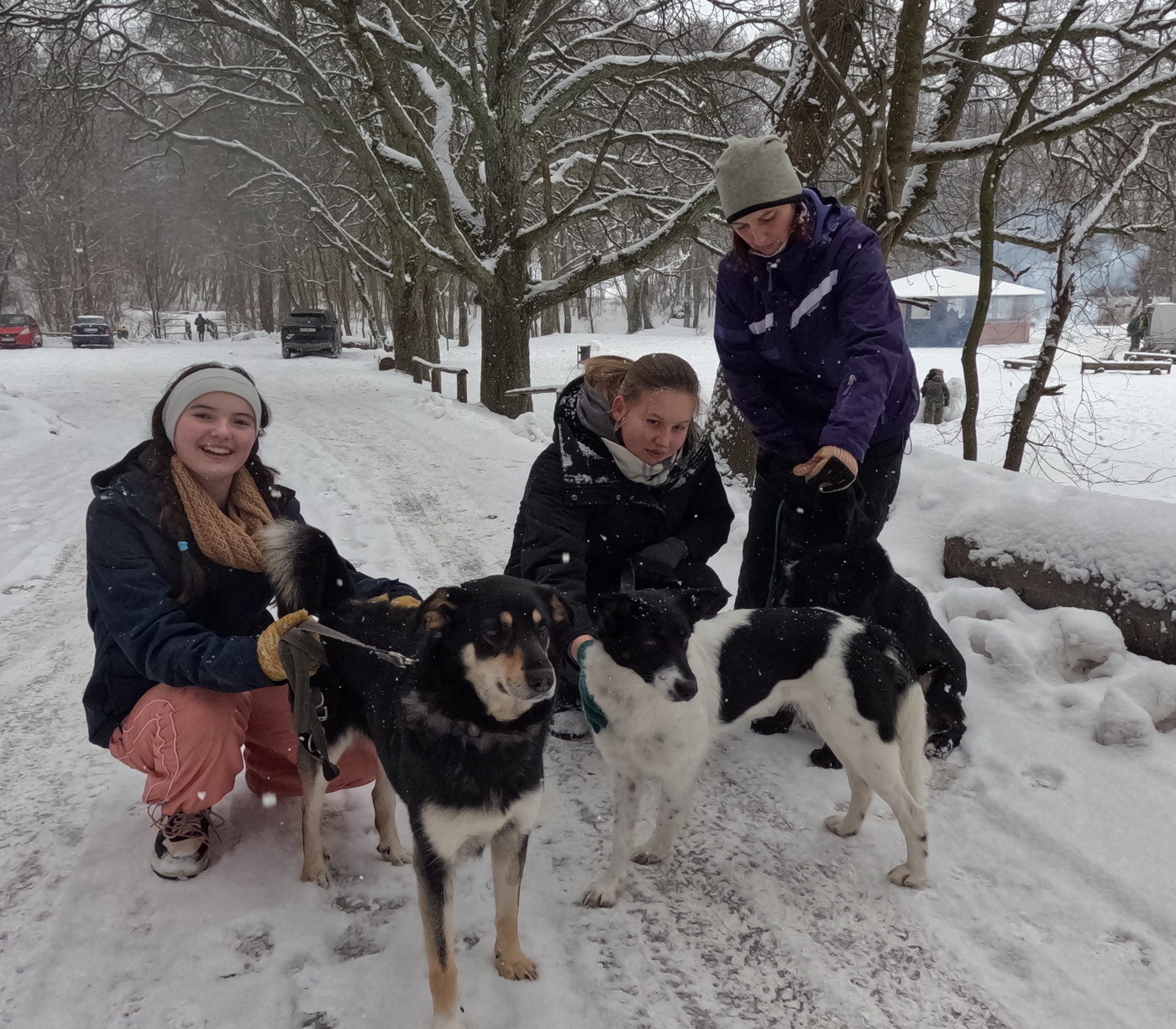 Elbląg, Walentynkowy Bieg na 6 Łap Elbląg, Walentynkowy Bieg na 6 Łap