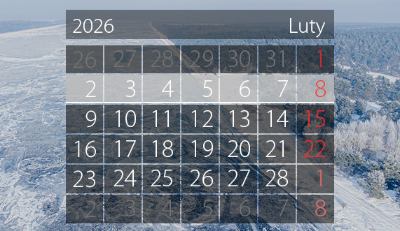 Elbląg, W tym tygodniu portEl poleca: spotkania o Olimpii, Krynicy, podróżach i sporo sportu