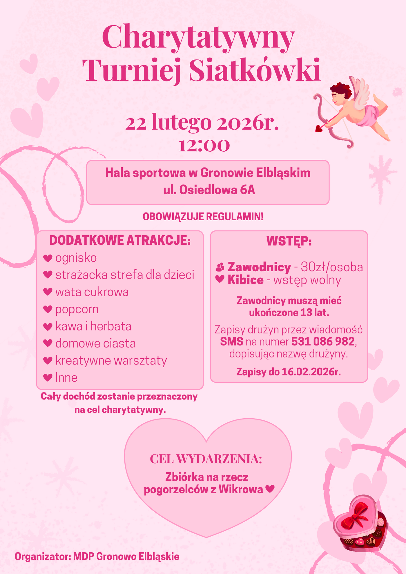 Elbląg, Charytatywny turniej siatkówki Elbląg, Charytatywny turniej siatkówki