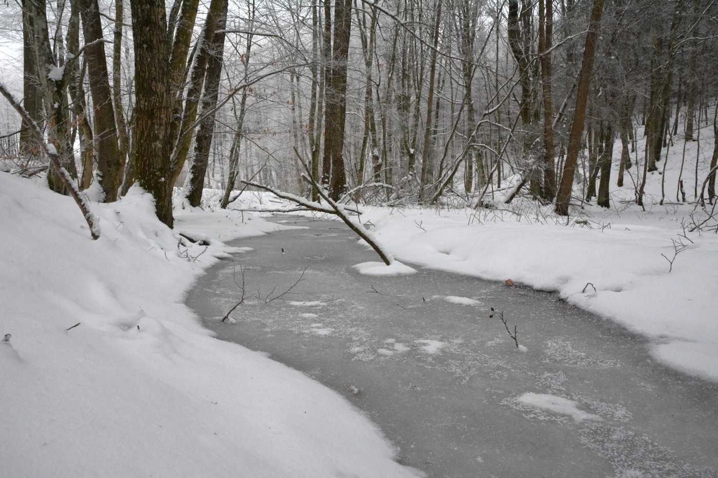 Elbląg, Grobla w Jagodnie,