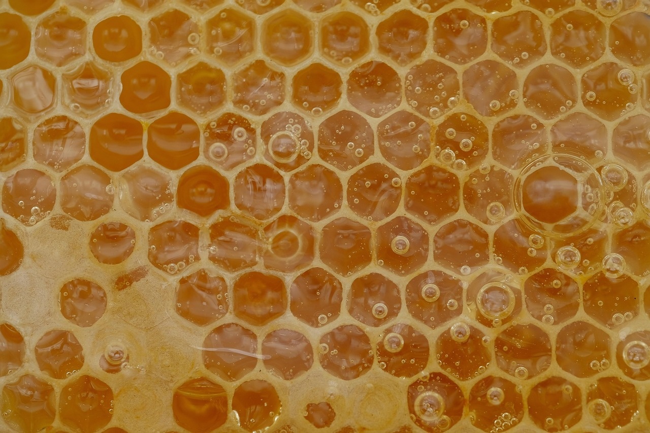 Dlaczego nie każdy miód smakuje tak samo? Dlaczego nie każdy miód smakuje tak samo?