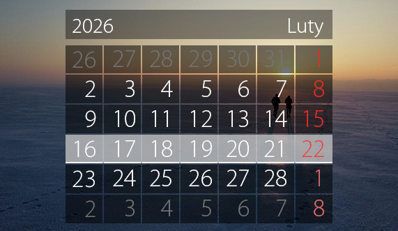 Elbląg, W tym tygodniu portEl poleca: charytatywnie, historycznie, kulturalnie