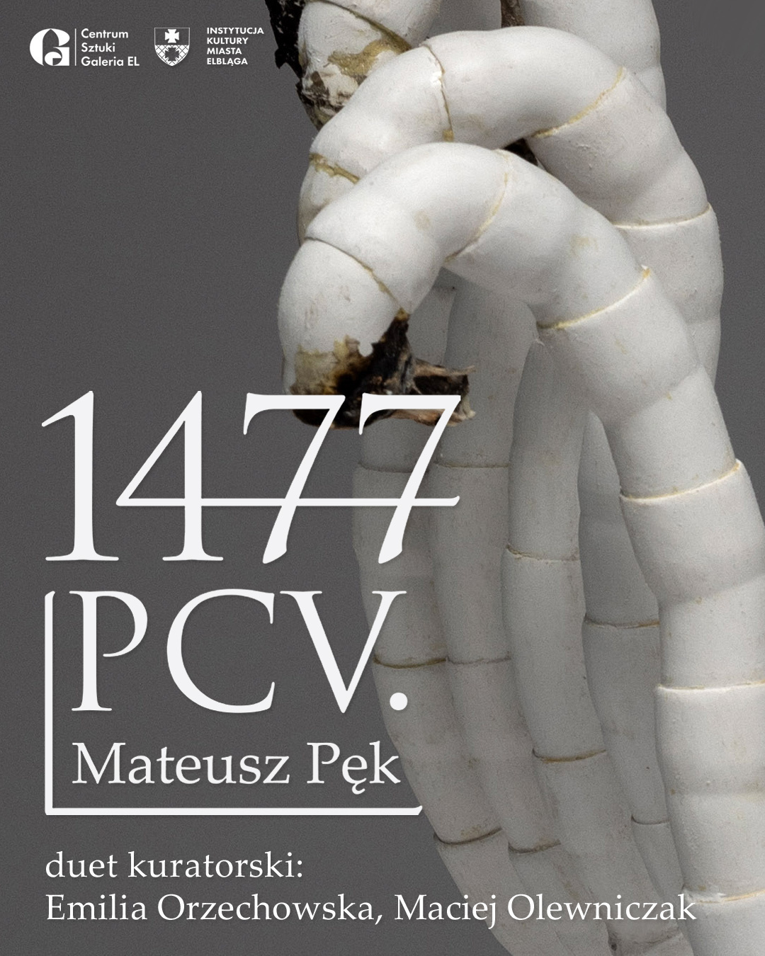 Elbląg, 1477 PCV. w Galerii EL