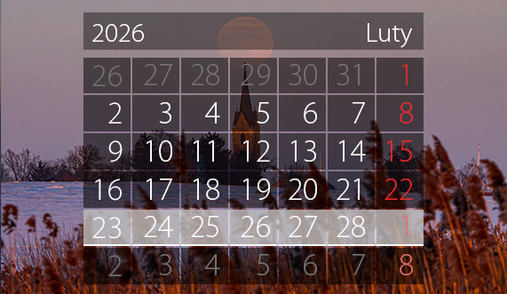 Elbląg, W tym tygodniu portEl poleca: wystawy i tańce