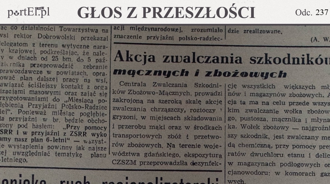 Elbląg, Głos Wybrzeża nr 264, 1950 r.