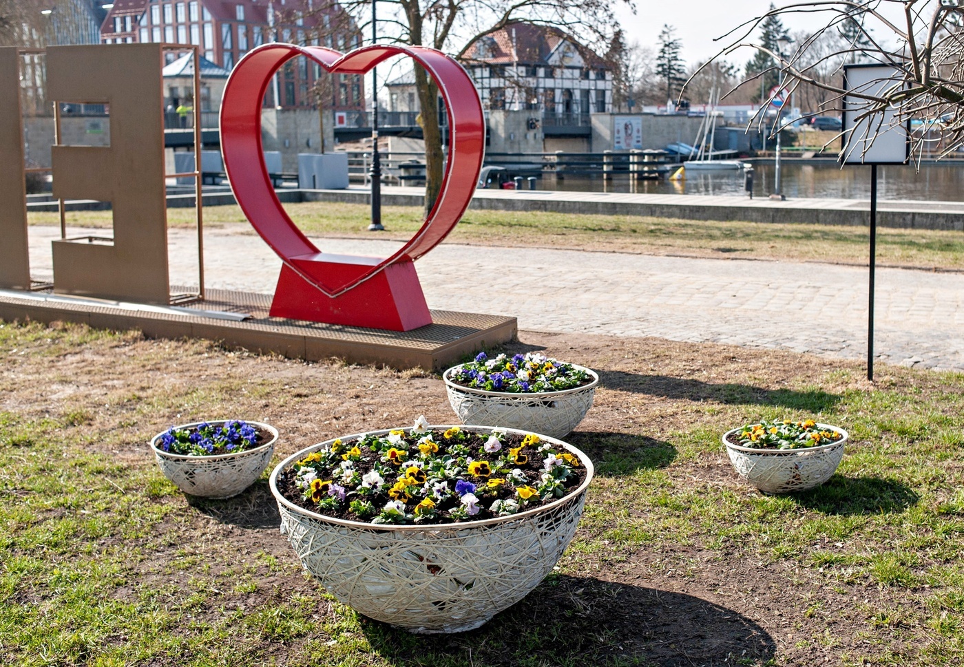 Elbląg, Pierwsze obsady bratków na Starym Mieście,