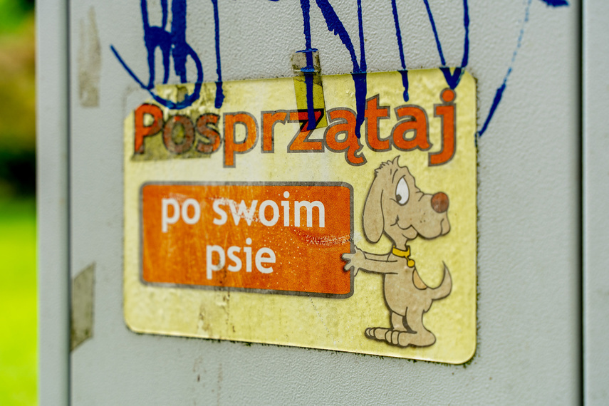 Elbląg, Śnieg stopniał, wstyd pozostał (napisali do nas)
