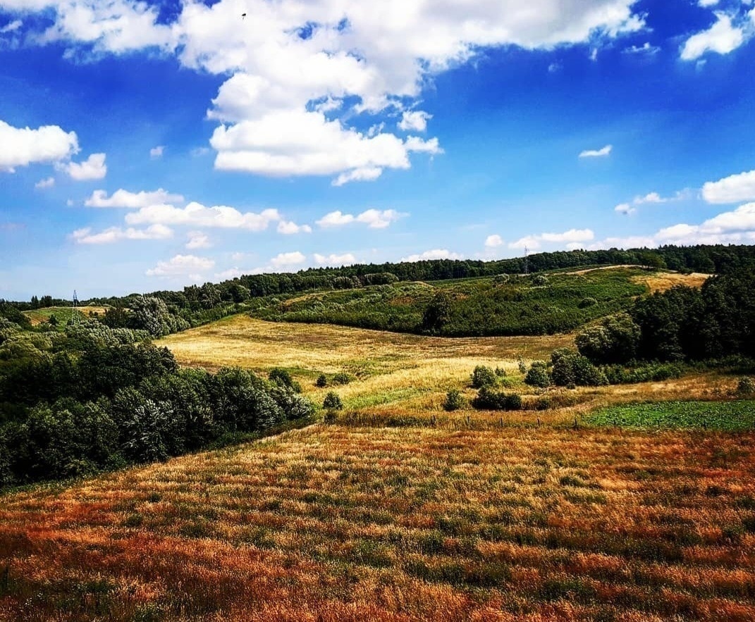 Elbląg, Rezerwat przyrody "Dolina Stradanki",