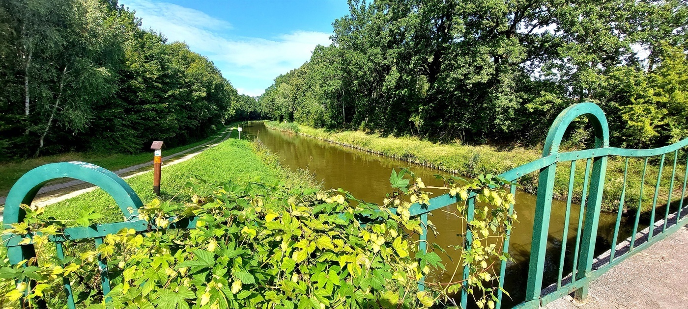 Elbląg, Ścieżka ma biec malowniczymi terenami przy Kanale Elbląskim, Elbląg, Ścieżka ma biec malowniczymi terenami przy Kanale Elbląskim,