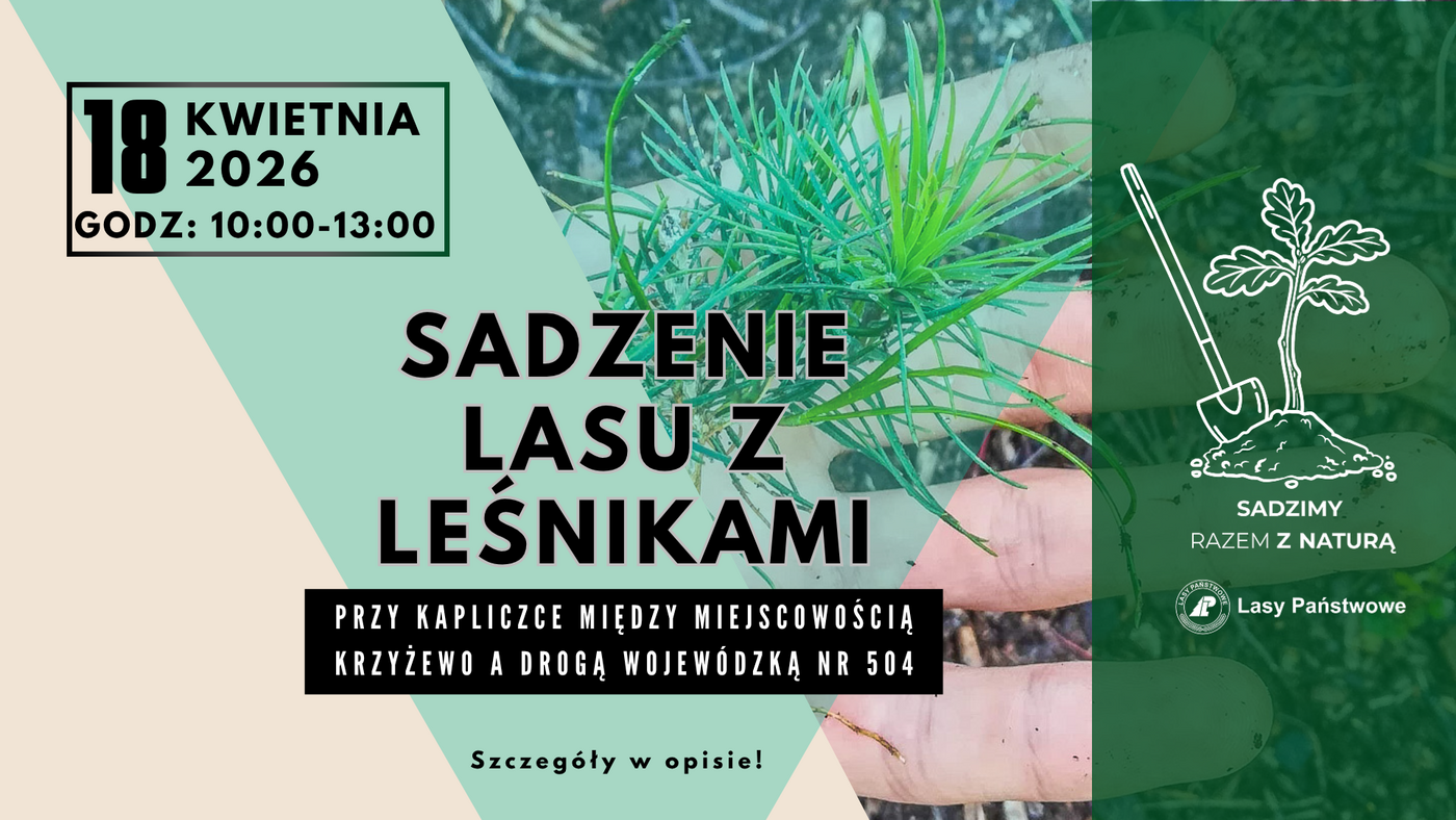 Elbląg, Sadzenie drzew z leśnikami