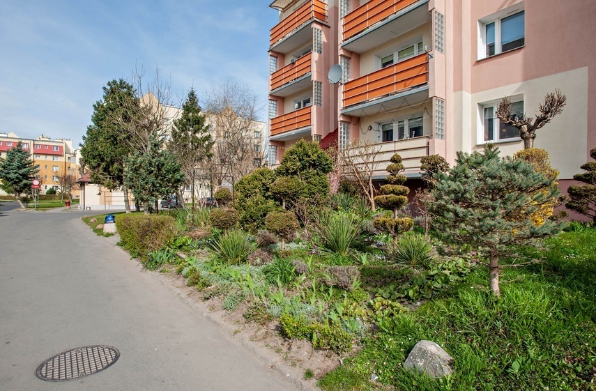 Elbląg, Zieleń, jak mówią mieskańcy, zasadzono w 1996 roku