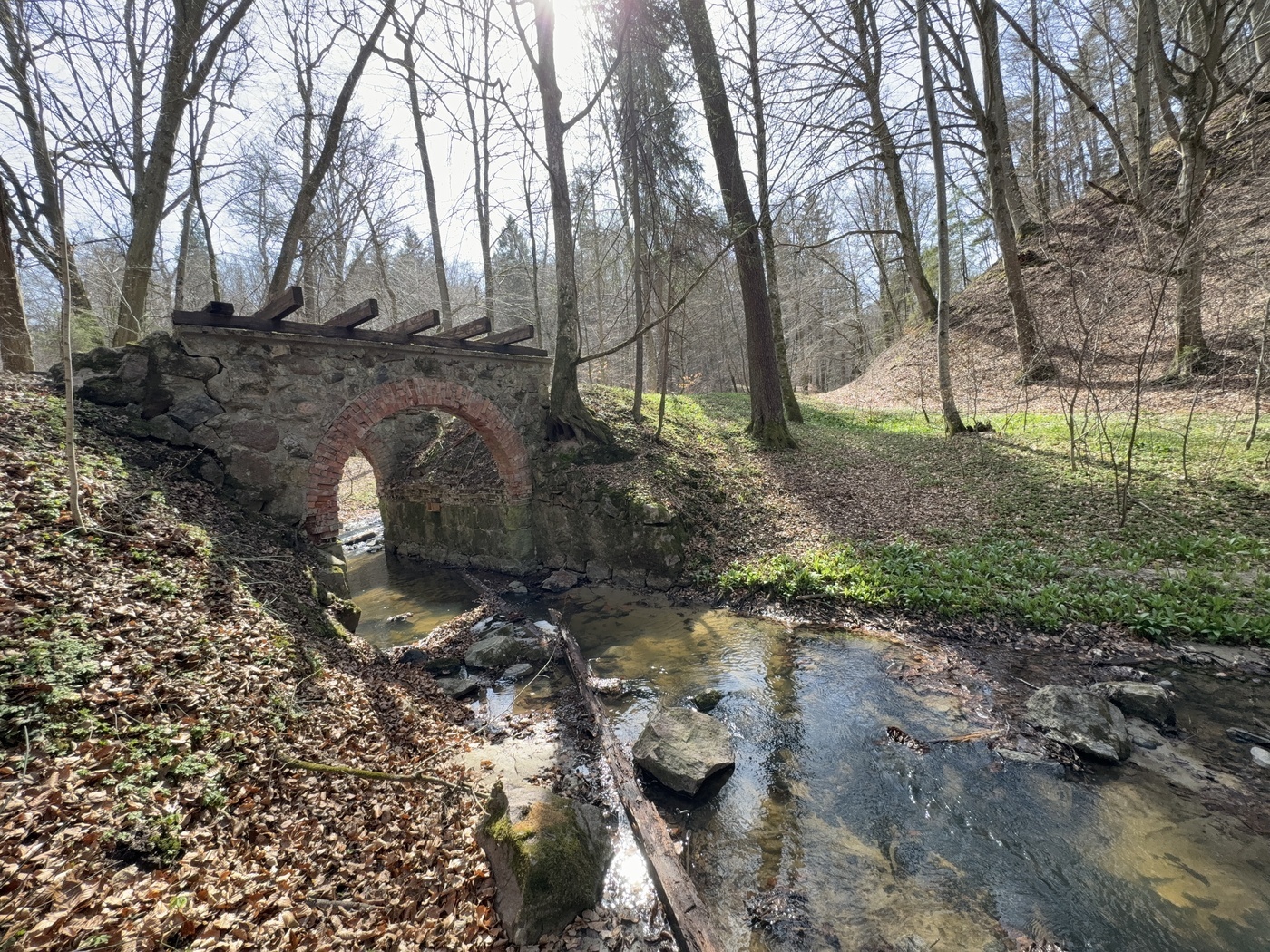 Elbląg, Pozostałości po mostu na rzece Grabiance,