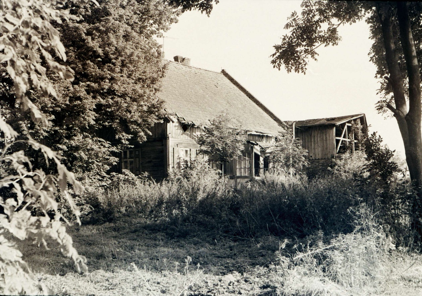 Elbląg, Zabudowanie we wsi Jegłownik. Fotografia ze zbiorów Juliusza Marka