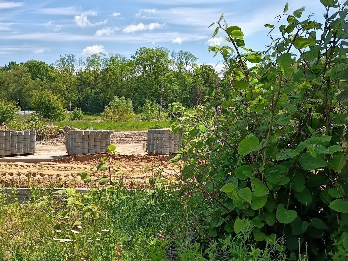 Elbląg, Czas na quiz. Czy znasz te miejsca? Elbląg, Czas na quiz. Czy znasz te miejsca?