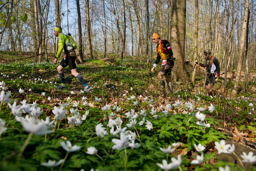 Elbląg, Elbląska impreza w Koronie Polskich Ultramaratonów