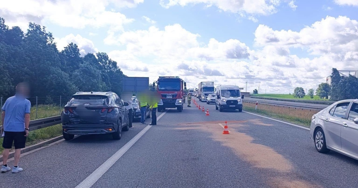 Elbląg, Trzy samochody zderzyły się na S7. Do kolizji przyczynił się łabędź