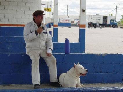 Elbląg, Kadr z filmu