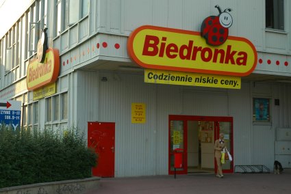 Elbląg, Krecia robota, niedźwiedzia przysługa Elbląg, Krecia robota, niedźwiedzia przysługa