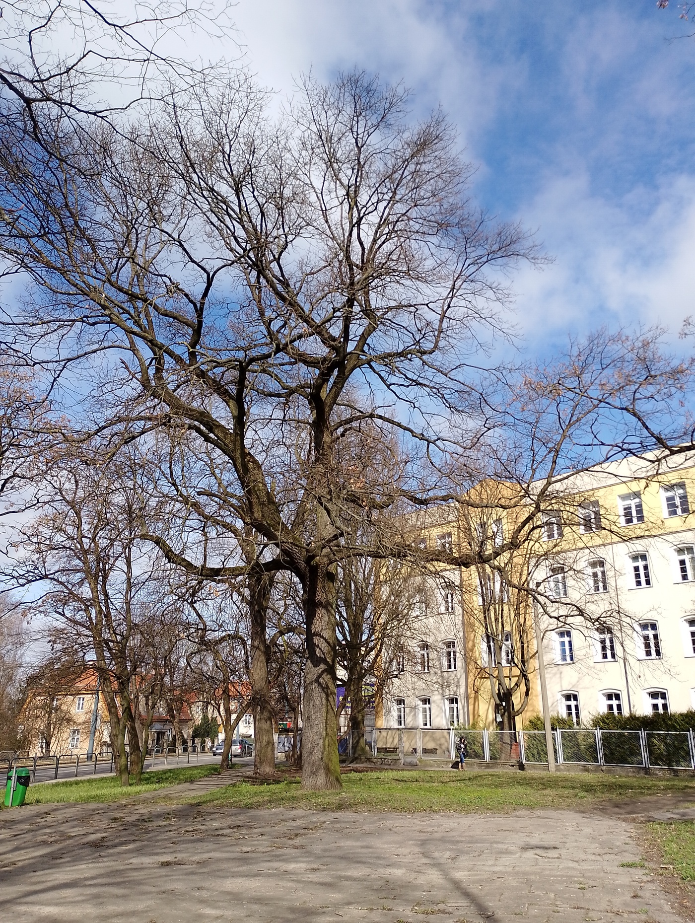 Elbląg, U zbiegu ulic Browarnej i Robotniczej powstanie park kieszonkowy Elbląg, U zbiegu ulic Browarnej i Robotniczej powstanie park kieszonkowy