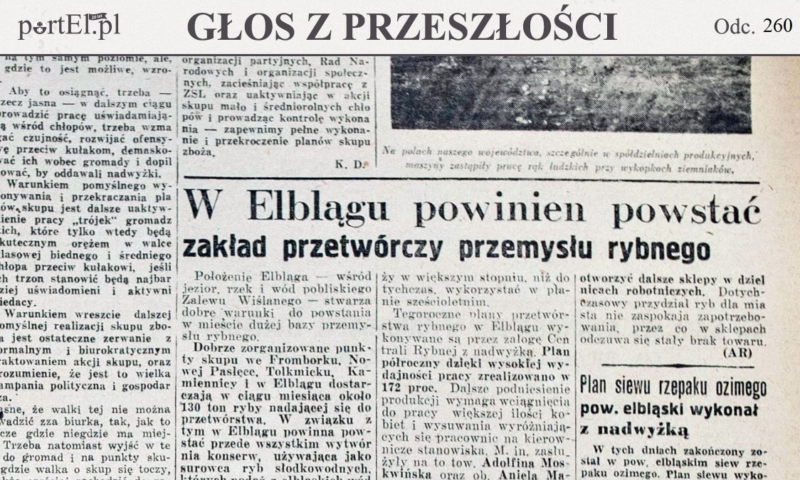Elbląg, Głos Wybrzeża nr 293, 1950 r.
