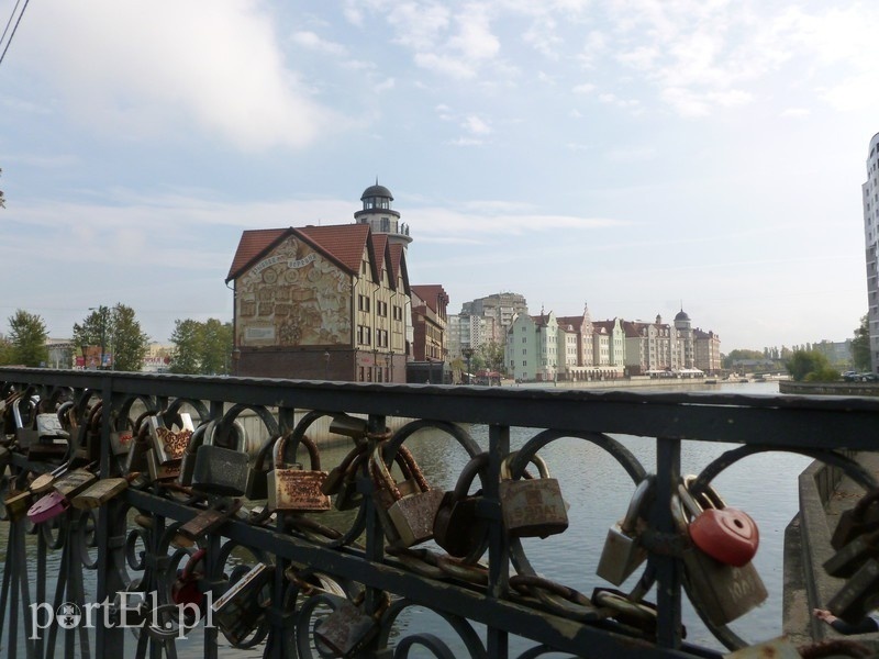 Elbląg, Widok na tzw. Wioskę Rybacką w Królewcu Elbląg, Widok na tzw. Wioskę Rybacką w Królewcu