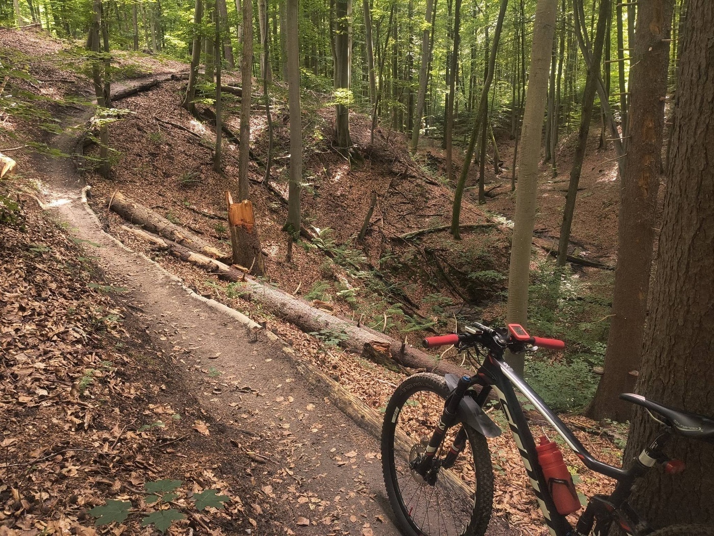 Elbląg, źródło: Facebook Elbląski Bikepark Truso Elbląg, źródło: Facebook Elbląski Bikepark Truso