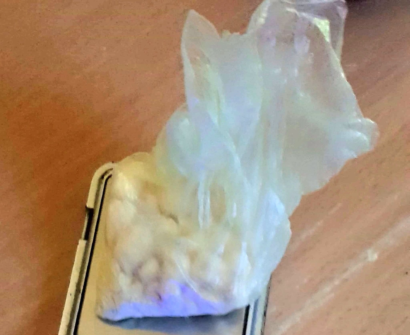 Elbląg, Amfetamina pod kluczem Elbląg, Amfetamina pod kluczem