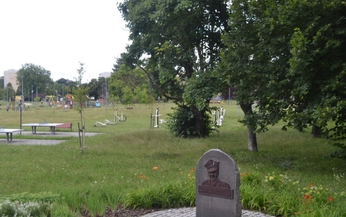 Elbląg, Tym razem seans odbędzie się w parku gen. Nieczuja-Ostrowskiego Elbląg, Tym razem seans odbędzie się w parku gen. Nieczuja-Ostrowskiego