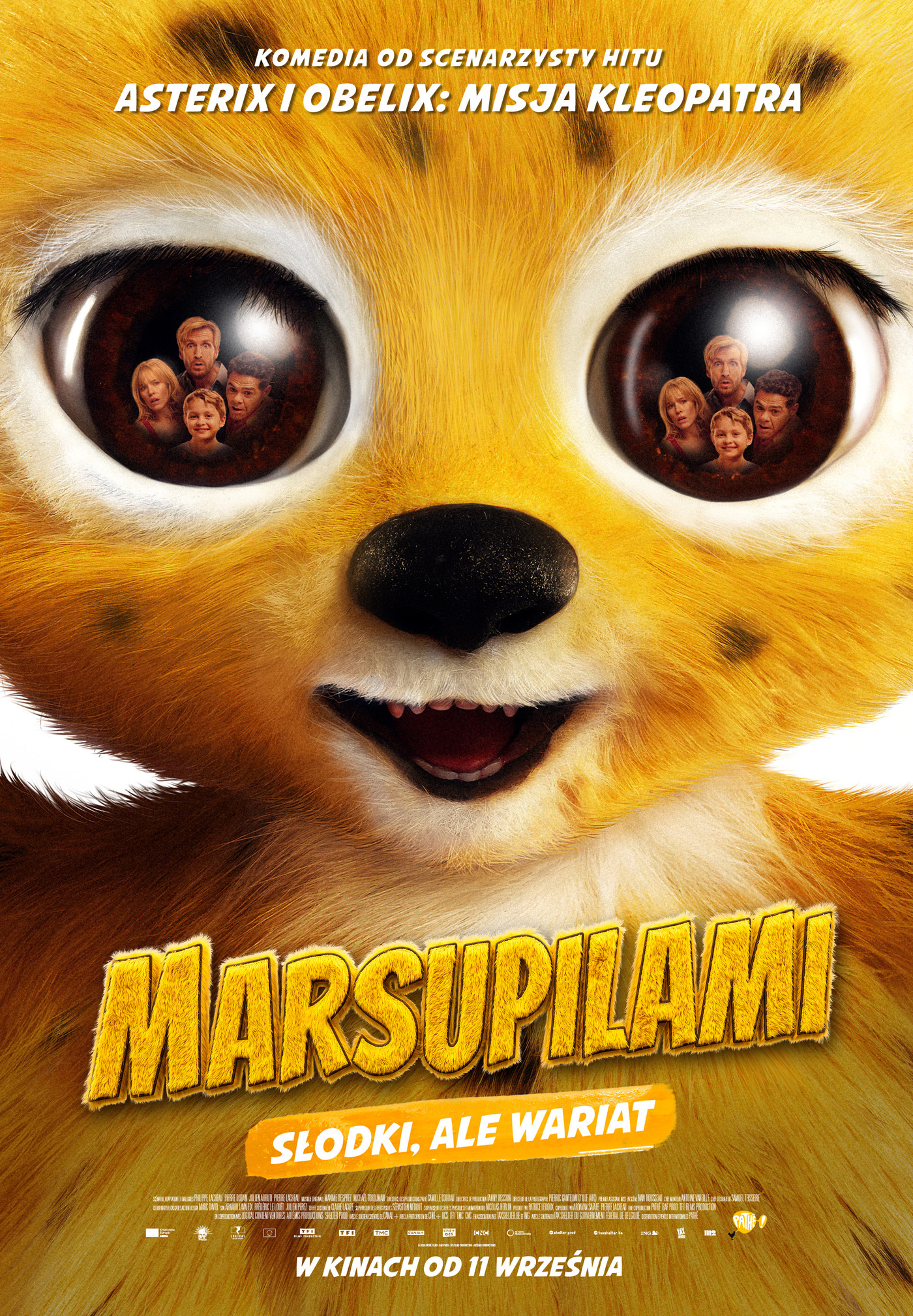 Marsupilami w Kinie Światowid Marsupilami w Kinie Światowid