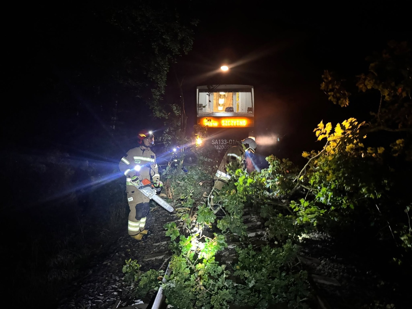 Elbląg, Szynobus uderzył w drzewo leżące na torach Elbląg, Szynobus uderzył w drzewo leżące na torach