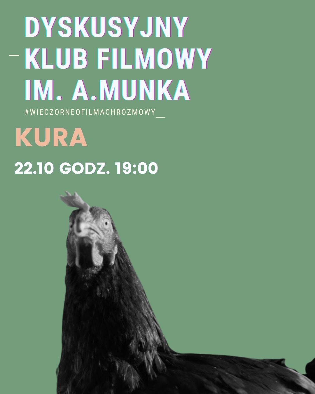 Kura w DKF Kura w DKF