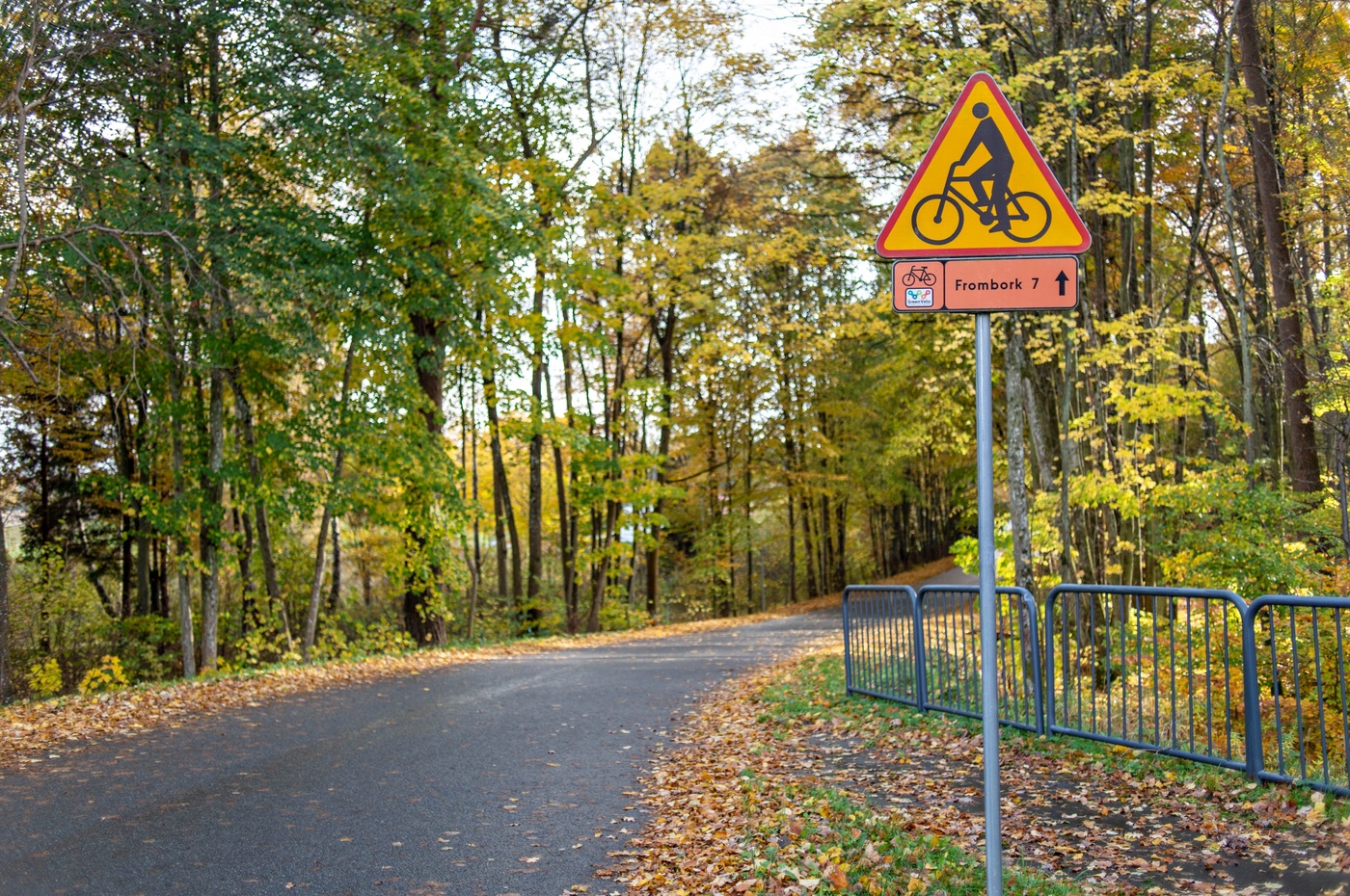 Elbląg, Kamery policzą rowerzystów Elbląg, Kamery policzą rowerzystów