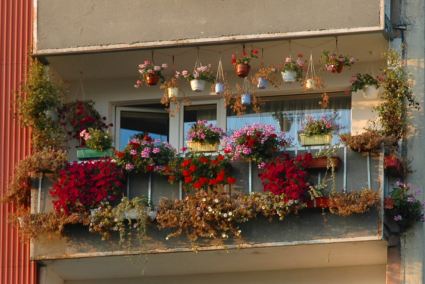 Elbląg, Trzecie miejsce w konkursie zajął balkon z ul. Rodziny Nalazków Elbląg, Trzecie miejsce w konkursie zajął balkon z ul. Rodziny Nalazków
