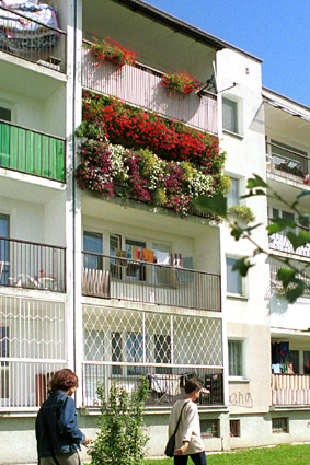 Elbląg, Rozstrzygnięto konkurs na najładniejszy balkon Elbląg, Rozstrzygnięto konkurs na najładniejszy balkon