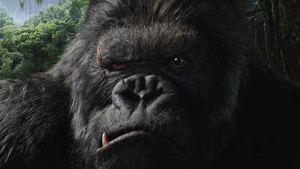 Elbląg, King Kong w Multikinie Elbląg, King Kong w Multikinie