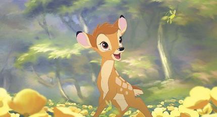 Elbląg, Dwa razy Bambi Elbląg, Dwa razy Bambi